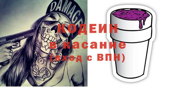 гашик Краснослободск