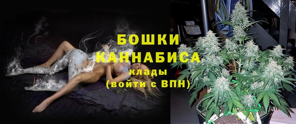 гашик Краснослободск