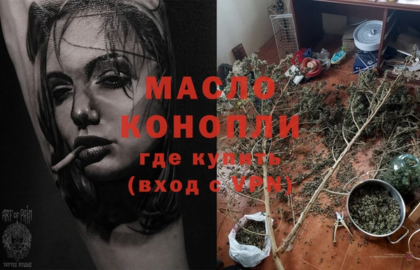 гашик Краснослободск