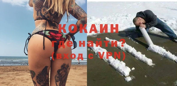 гашик Краснослободск