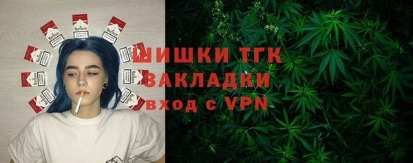 гашик Краснослободск