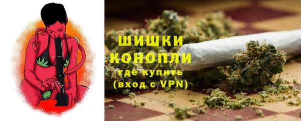 гашик Краснослободск