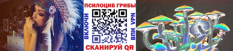 Галлюциногенные грибы Psilocybe  Купить  Сухой Лог 